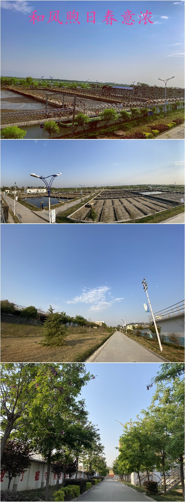 CG电子游戏(中国集团)官方网站