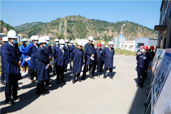 CG电子游戏集团复工复产促增添项目观摩聚会与会职员走进环保保隆生态三秦在延在铜项目