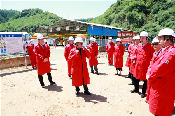 CG电子游戏集团复工复产促增添项目观摩聚会与会职员走进环保保隆生态三秦在延在铜项目