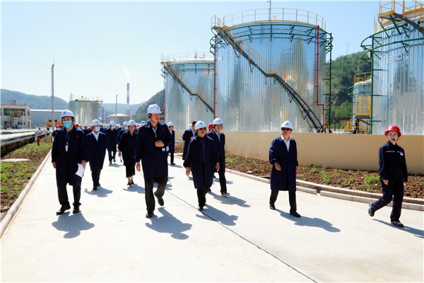 CG电子游戏集团复工复产促增添项目观摩聚会与会职员走进环保保隆生态三秦在延在铜项目