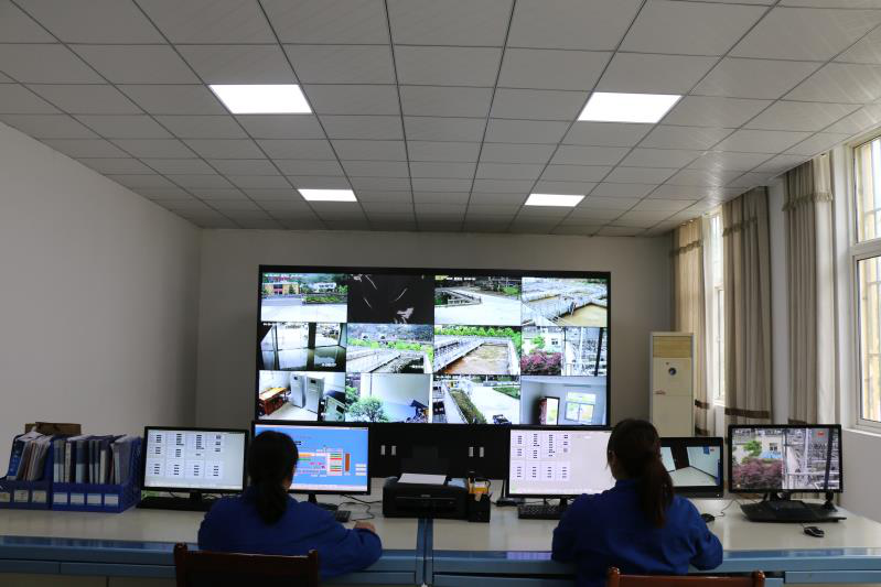 这个端午节，，水情形人这么过（二）