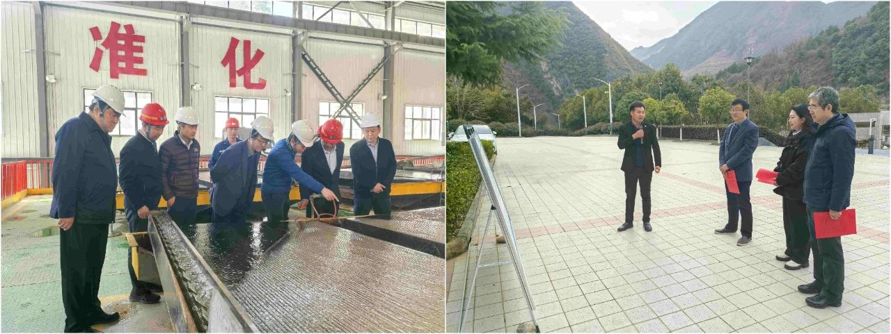 CG电子游戏集团外部董事赴鼎丰矿业公司、水情形公司镇安污水处理厂调研指导事情